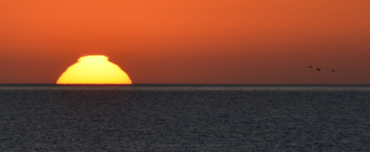 Sunrise In Baja