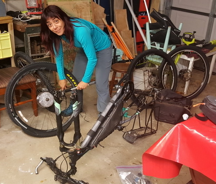 Assembling the bikes in Auckland