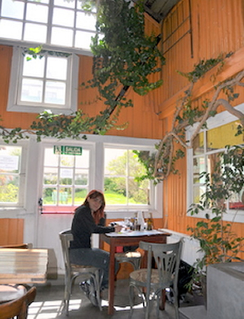 Judit at coffee time